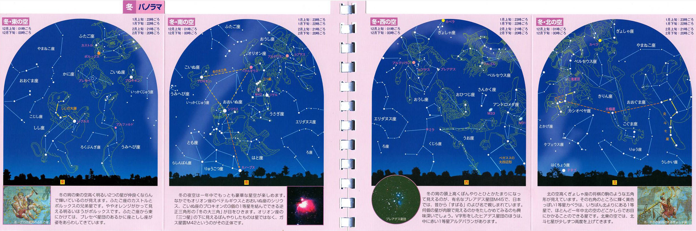 ポケットパノラマ図鑑10
