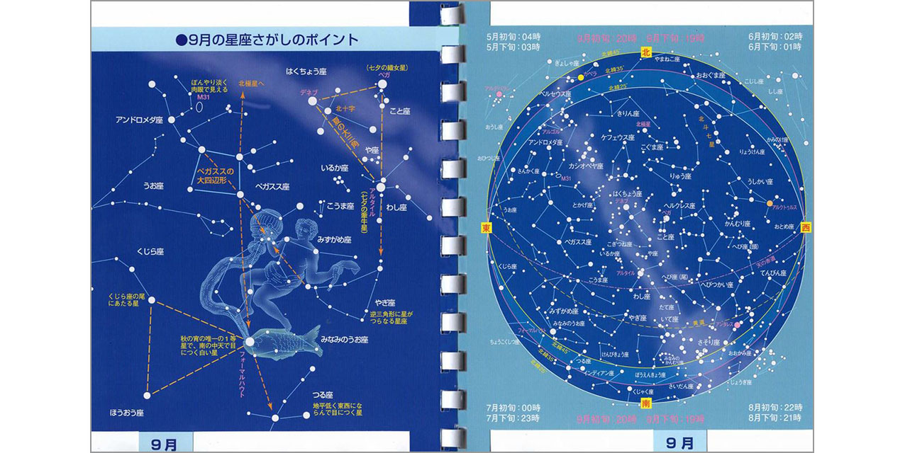 ポケット星座図鑑10