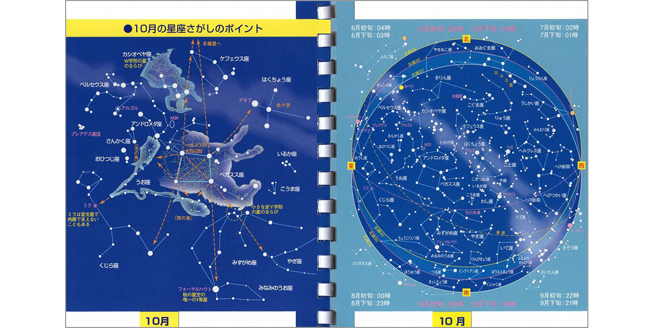 ポケット星座図鑑11