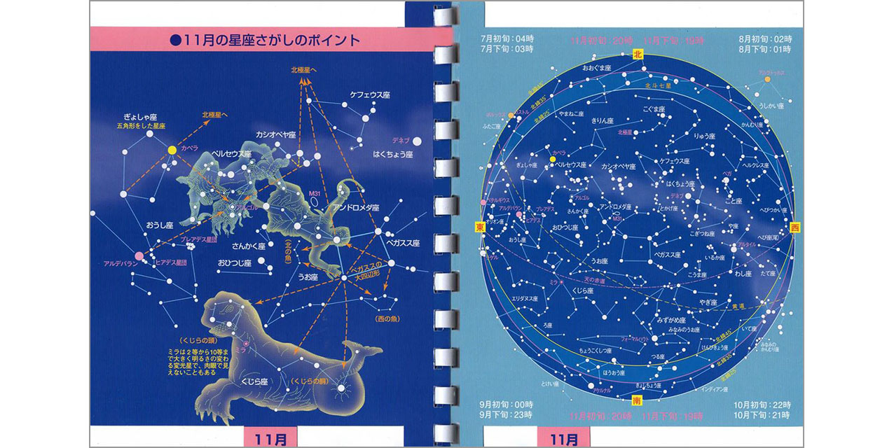 ポケット星座図鑑12