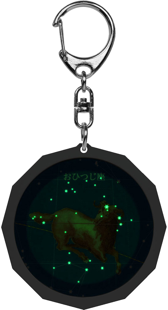 星座早見付 星座キーホルダー 全14種 スーパー夜光 星の手帖社